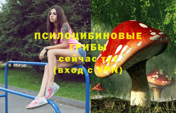 соль ск Алексеевка