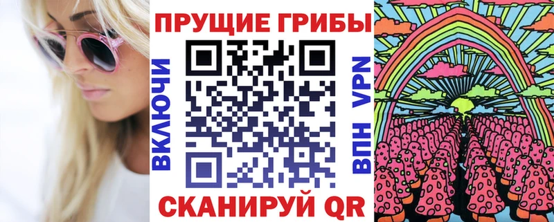 где можно купить наркотик  Питкяранта  Псилоцибиновые грибы прущие грибы 